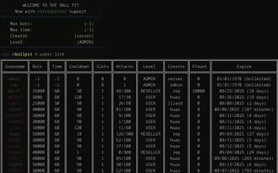 Oregon Man Charged in ‘Rapper Bot’ DDoS Service
